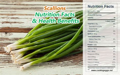 Scallions Nutrition Facts And Health Benefits Cookingeggs