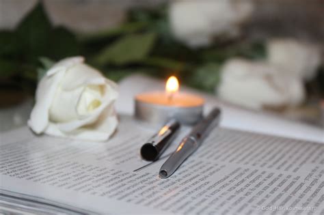 Relouis механический карандаш Brow Wow 02 . Тауповые брови тренд сезона ...