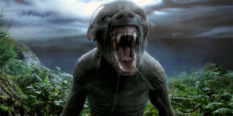 Lobisomem Harry Potter - Harry Potter: 10 Things You Didn’t Know About Werewolves