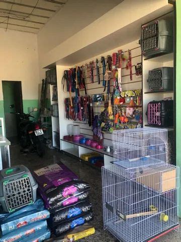 Casa De Ração Aparecida De Goiânia - "expositor para casa de racao" no Brasil
