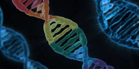 No Gay Gene But Five Genetic Markers Common In Lgbt People Says Mun Biologist Vocm