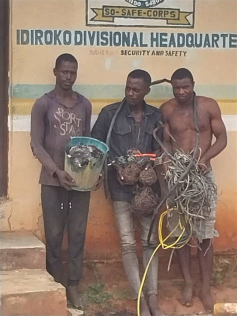 So Safe Corps Arrests 3 Suspects For Vandalising Transformer Recovers