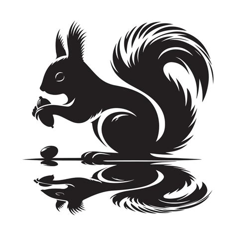 Squirrel Vectors Silhouette 46436159 Vector Art At Vecteezy