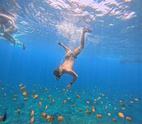 Nusa Penida Snorkelling Tour At Manta Gamat Crystal Bay GetYourGuide