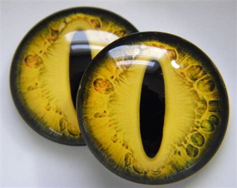 Glass Eyes Yellow Eyes Yellow Dragon Eyes Yellow Cat Eyes Dragon