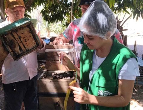 Senar PI promove curso de meliponicultura em Bela Vista do Piauí