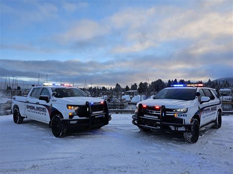 petersburg police non emergency 6