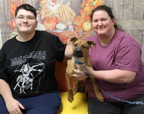 wichita falls animal control 3