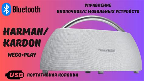Беспроводная колонка Harman/Kardon Go+Play - купить по доступным ценам ...