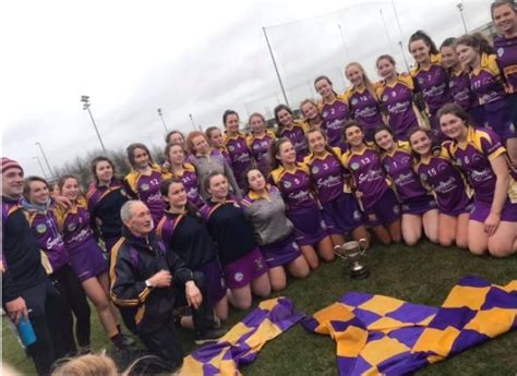 St Brigids Crowned Minor Camogie Champions After Eight Point Triumph