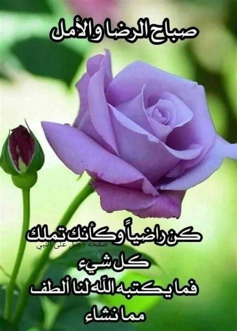 Pin by Ahmedum on دعاء Good morning arabic Beautiful quotes about