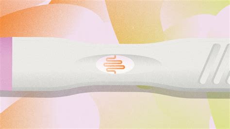 Here’s How Gut Health May Affect Fertility