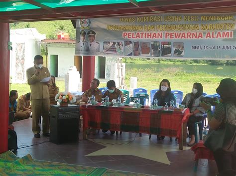 Dorong UKM Pemkab Toba Gelar Pelatihan Pewarna Alami Bagi Perajin