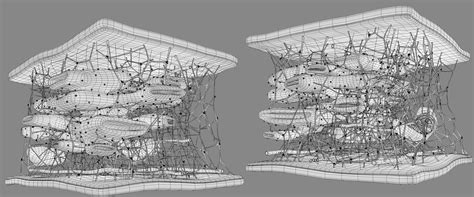 Cytoskeleton Structure on Behance