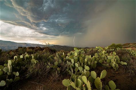 Arizona Monsoon Photography Workshops | Arizona Monsoon Photography Tours