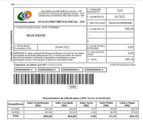 Passo A Passo De Como Emitir E Pagar A Guia Do Inss Porn Sex Picture