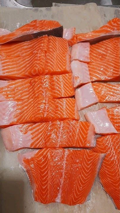 Форель Мурманск в Новосибирске!!!🔥🔥🔥 - YouTube