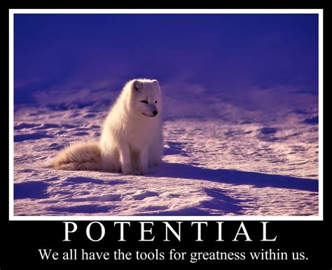 Motivational Posters Even In Their Heyday Werent As Popular As