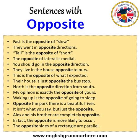 Sentences With Opposite Opposite In A Sentence In English Sentences For Opposite English