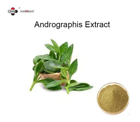 Food Grade Andrographis Paniculata Extract Andrographolide