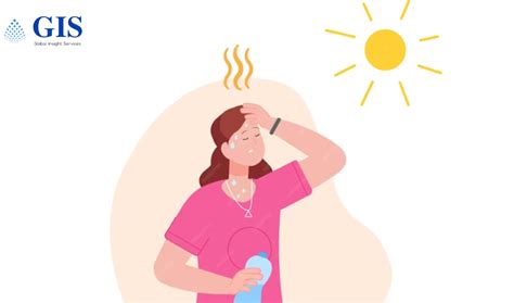 Managing Change USA S Menopausal Hot Flashes Market Forecast 2024 2033 LinkeWire
