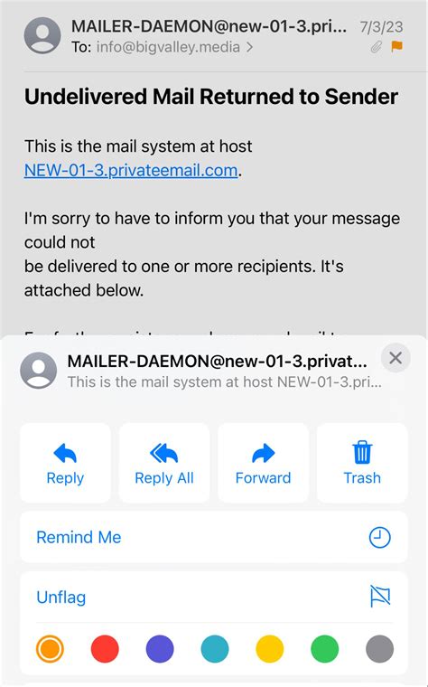 What Does a Flagged Email Mean? | UniOne