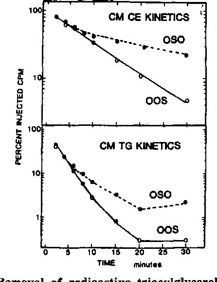 Figure 1 from The effect of triacyl-sn-glycerol structure on the ...