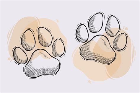Patas De Perro O Gato Dibujadas A Mano Dibujo De Contorno De Dos Patas