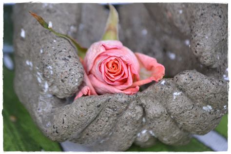 Concrete Hands Made By Me Unique Gardens Valentine Pink Heart