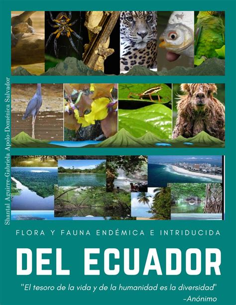 Flora Y Fauna Del Ecuador Enrtradaintroduccion NBKomputer