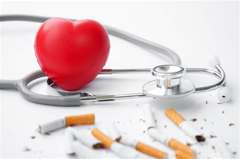 Effects Of Smoking On Heart Health How Does Smoking Affects Your Cardiovascular System