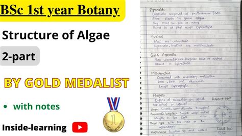 Algae Structure Of Algae BSc 1st Year YouTube