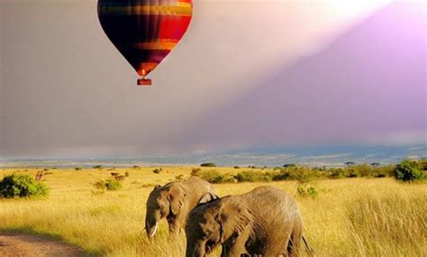 Cradle Of Humankind Take A Hot Air Balloon Ride Over Here For These