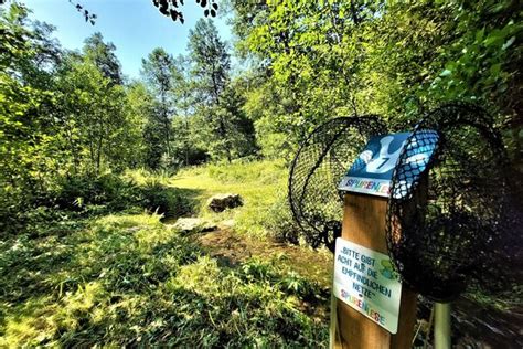 Waldlehrpfad BERGFEX Themenweg Tour Baden Württemberg