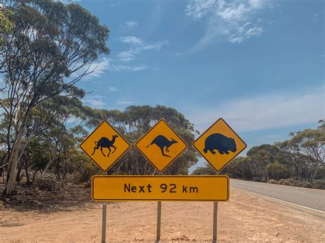 Nullarbor Plain | Accidentally Wes Anderson