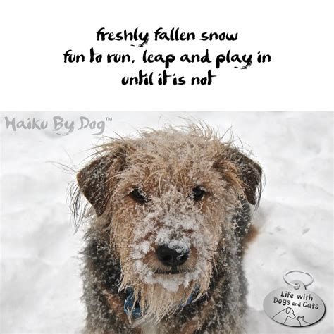 Funny Haikus Funny Haiku College Life Haiku Funny Sticker