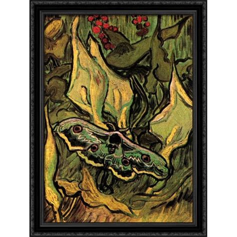 Great Peacock Moth 28x38 Large Black Ornate Wood Framed Canvas Art By