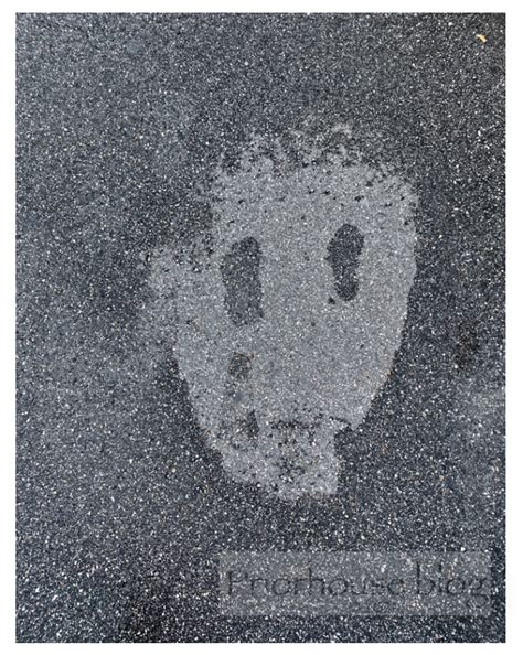 bloom-face ground – scream – priorhouse blog