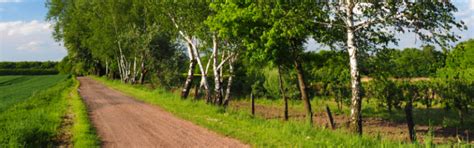 How to prepare for spring driving - Young Driver's Guide