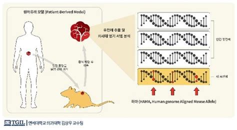 암세포 유전체 분석 정확도 58 더 높이는 검사법 개발 한국경제