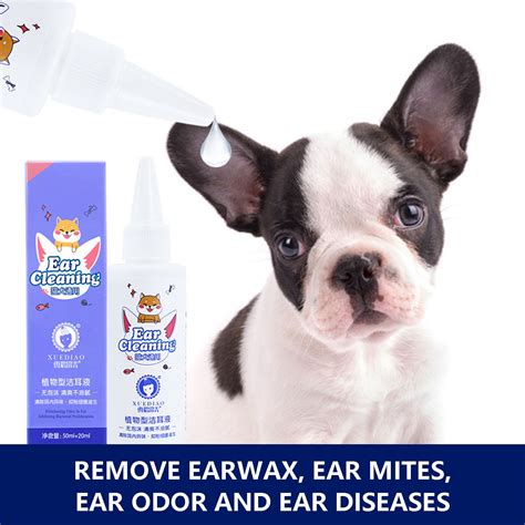 Ferret Ear Mites at Mary Jorgenson blog