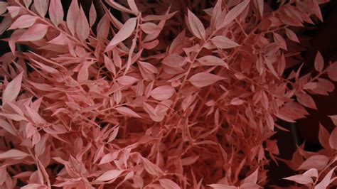 Dow Jones Sustainability Indices: Ranked number one