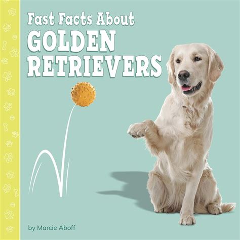 Amazon.com: Fast Facts About Golden Retrievers (Fast Facts About Dogs): 9781977124524: Aboff