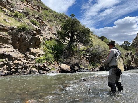 Turbidity and Fly Fishing: Why Water Clarity Matters for Catching More ...