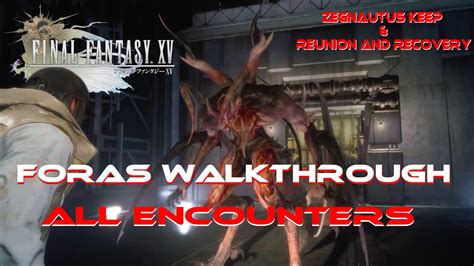 Foras Walkthrough All Encounters Zegnautus Keep Reunion Final