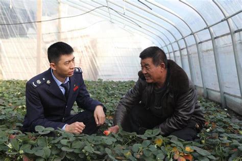 泰安税务：税惠带旺“烟火气”，非遗助力“闹元宵”煎饼服务草莓