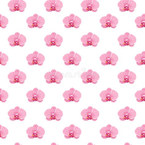 Pink Purple Tender Orchid Floral Seamless Pattern Stock Vector