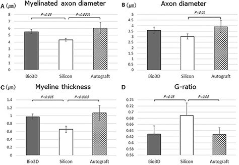 Morphological evaluations of the myelinated axon. (A) The mean ...