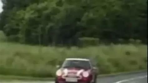 Iam Gepiercte MILF Mit Vielen Piercings XHamster