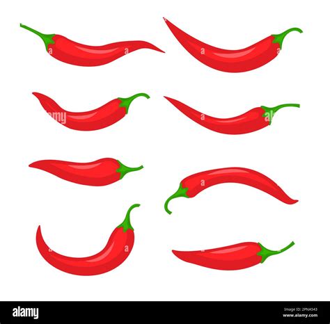 Red Chili Spicy Pepper Hot Chili Spice Pepper Vector Icon Illustration Paprika Cooking